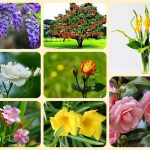 Giải thể công ty ở Bình Định 3 Xin giải thể công ty ở Bình Định