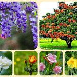 Giải thể công ty ở Đồng Tháp 3 Xin giải thể công ty ở Đồng Tháp