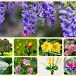 Giải thể công ty ở Huế 3 Xin giải thể công ty ở Huế