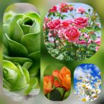 Thành lập công ty ở huyện Bắc Tân Uyên 6 Thủ tục thành lập công ty ở huyện Bắc Tân Uyên