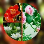 Thành lập công ty ở huyện Dầu Tiếng 6 Thủ tục thành lập công ty ở huyện Dầu Tiếng