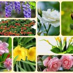 Thành lập công ty ở huyện Đông Anh 6 Thủ tục thành lập công ty ở huyện Đông Anh