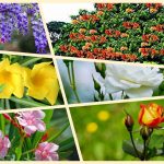 Thành lập công ty ở huyện Ứng Hòa 6 Thủ tục thành lập công ty ở huyện Ứng Hòa