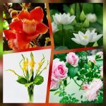 Thủ tục giải thể doanh nghiệp tại Quận Bình Thạnh