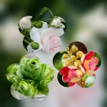 Giải thể công ty ở TPHCM 3 Xin giải thể công ty ở TPHCM