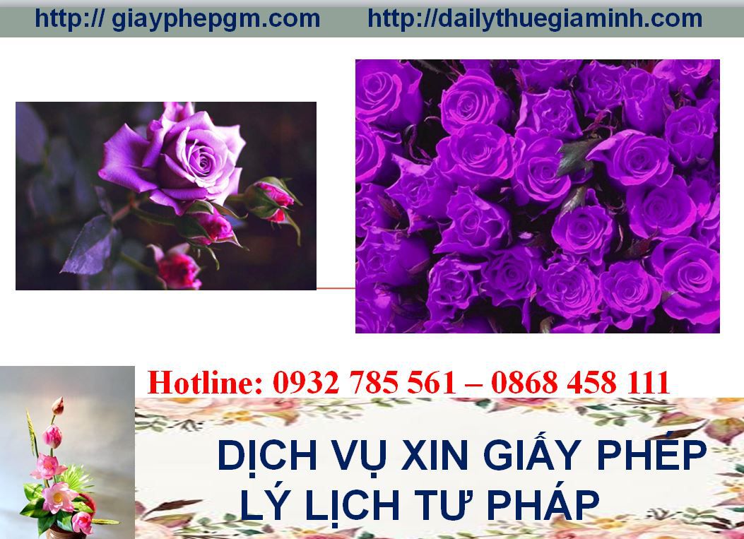 Dịch vụ làm giấy lý lịch tư pháp An Giang 4 Thủ tục làm giấy lý lịch tư pháp An Giang