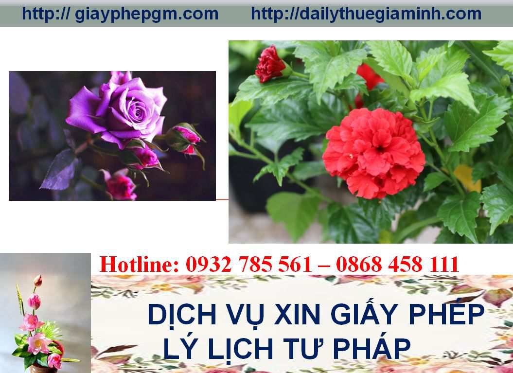 Dịch vụ làm giấy lý lịch tư pháp Bắc Giang 4 Thủ tục làm giấy lý lịch tư pháp Bắc Giang