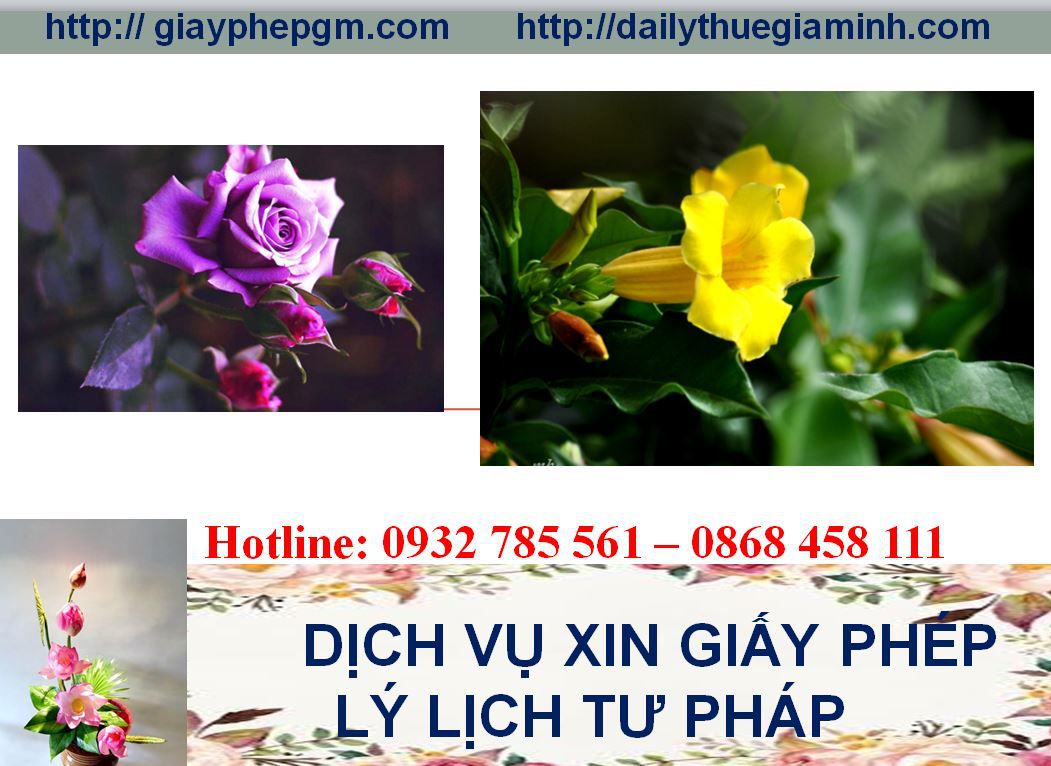 Dịch vụ làm giấy lý lịch tư pháp Bắc Kạn 4 Thủ tục làm giấy lý lịch tư pháp Bắc Kạn