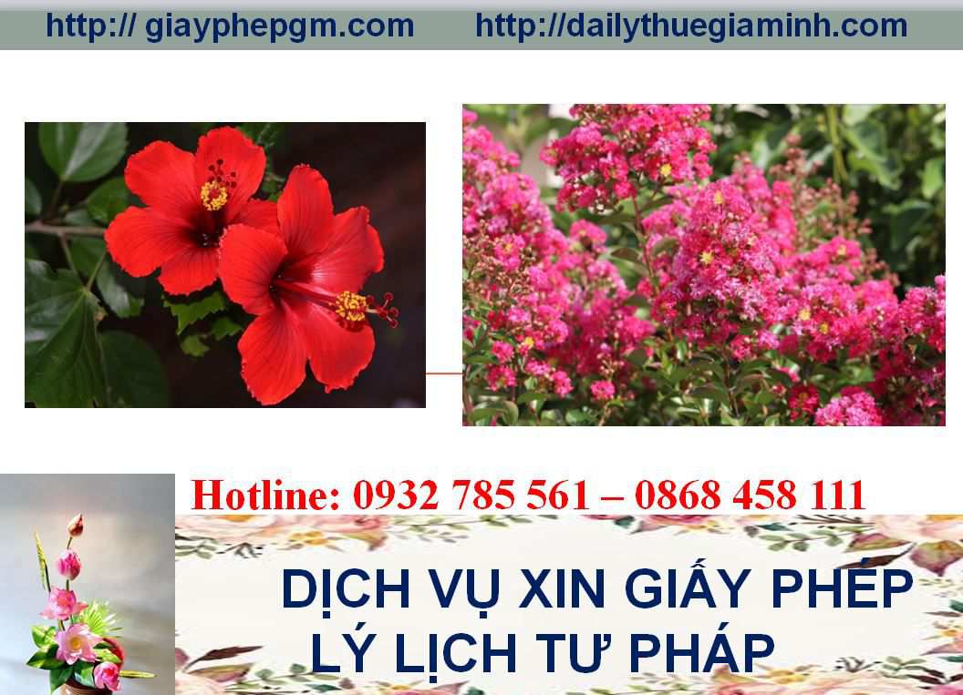 Dịch vụ làm giấy lý lịch tư pháp Đà Nẵng 4 Thủ tục làm giấy lý lịch tư pháp Đà Nẵng