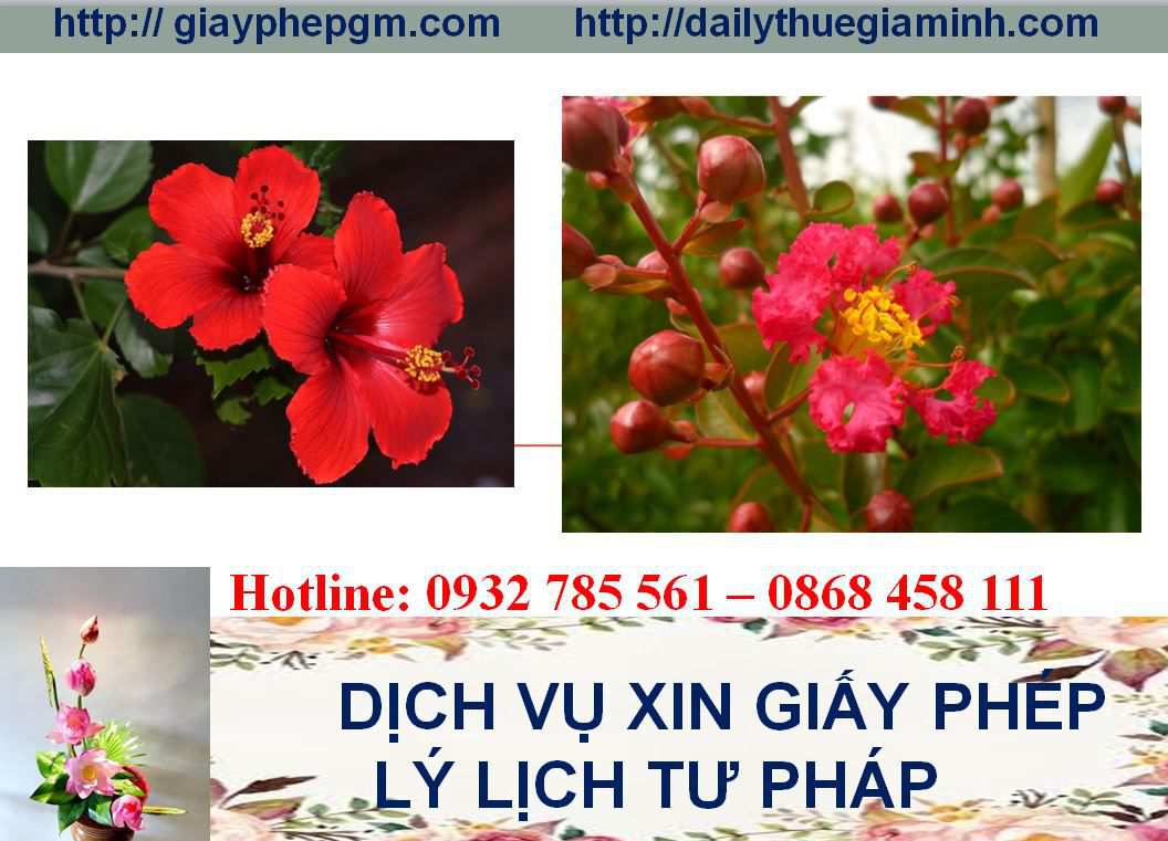 Dịch vụ làm giấy lý lịch tư pháp Điện Biên 4 Thủ tục làm giấy lý lịch tư pháp Điện Biên