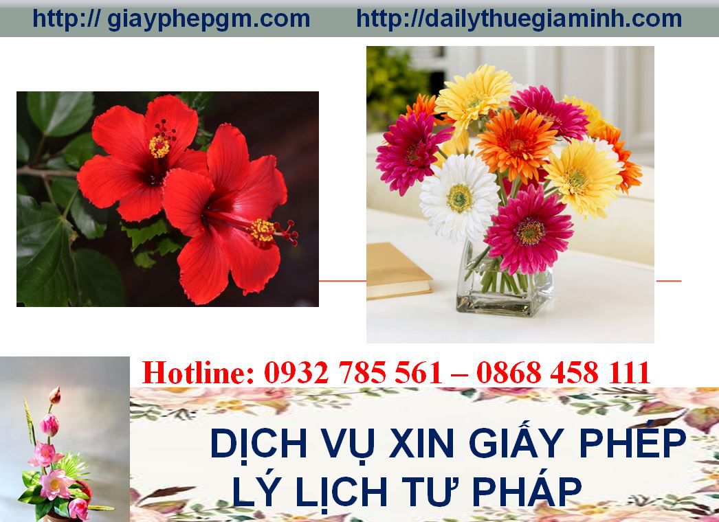 Dịch vụ làm giấy lý lịch tư pháp Đồng Tháp 4 Thủ tục làm giấy lý lịch tư pháp Đồng Tháp
