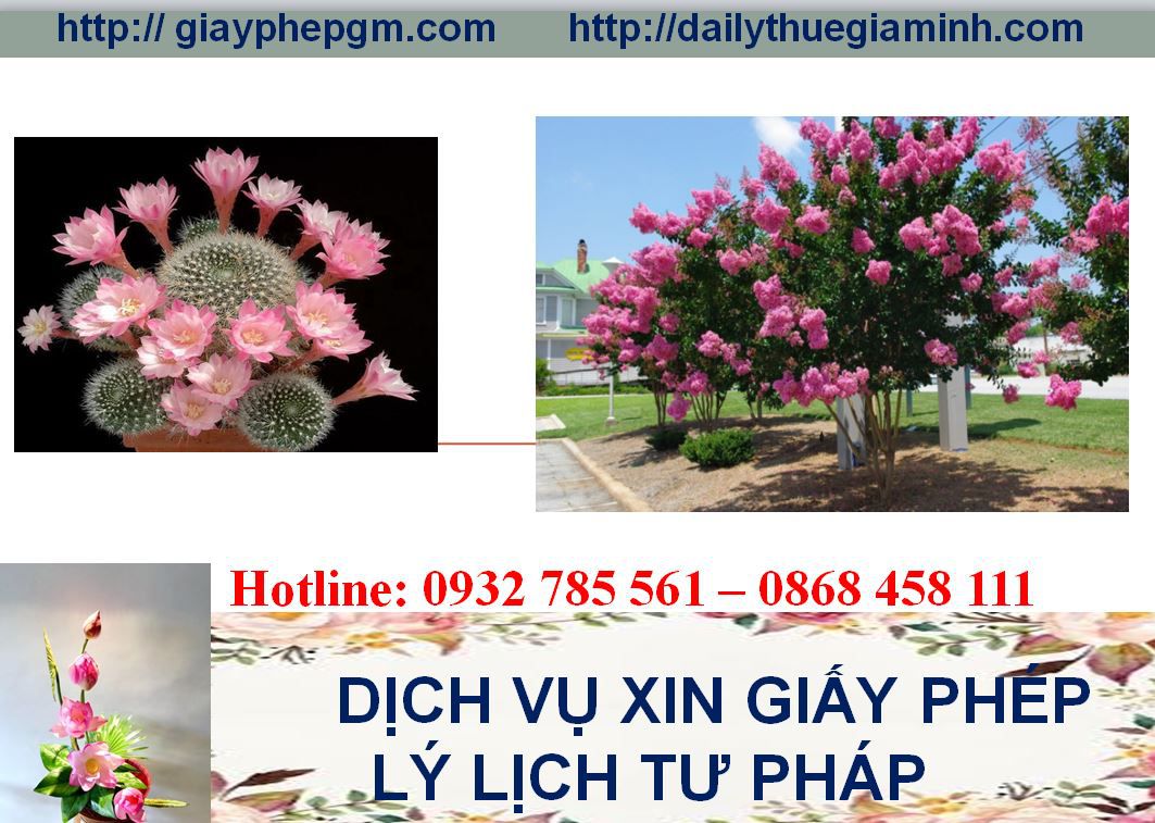 Dịch vụ làm giấy lý lịch tư pháp Hà Nam 4 Thủ tục làm giấy lý lịch tư pháp Hà Nam