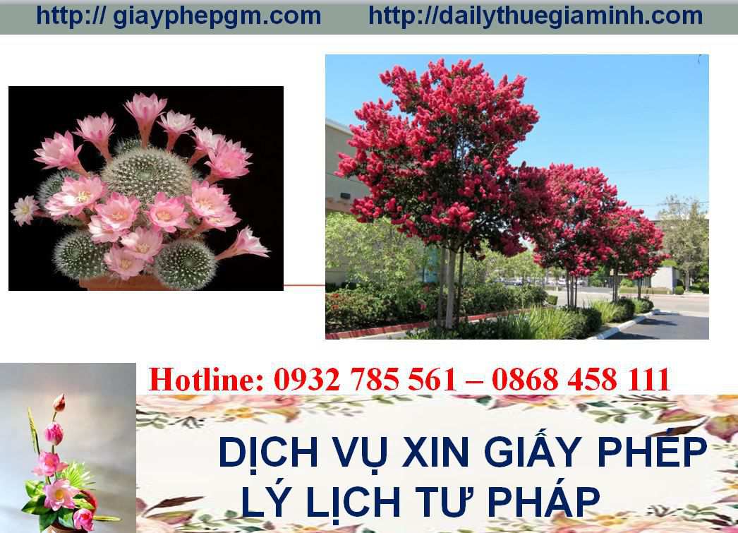 Dịch vụ làm giấy lý lịch tư pháp Hà Nội 4 Thủ tục làm giấy lý lịch tư pháp Hà Nội
