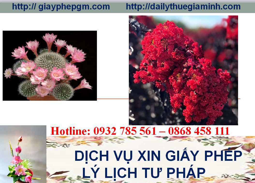 Dịch vụ làm giấy lý lịch tư pháp Hải Dương 4 Thủ tục làm giấy lý lịch tư pháp Hải Dương