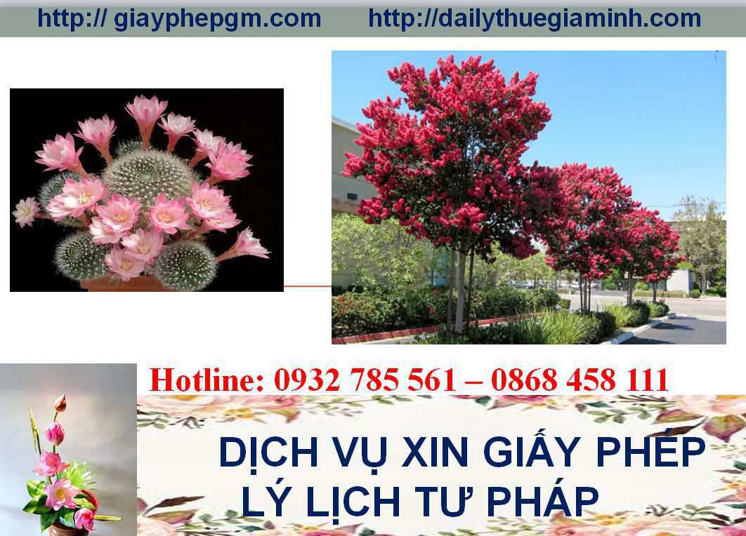 Dịch vụ làm giấy lý lịch tư pháp Hòa Bình 4 Thủ tục làm giấy lý lịch tư pháp Hòa Bình