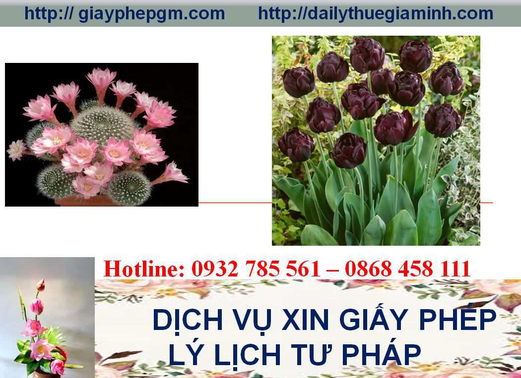 Dịch vụ làm giấy lý lịch tư pháp Khánh Hòa 4 Thủ tục làm giấy lý lịch tư pháp Khánh Hòa