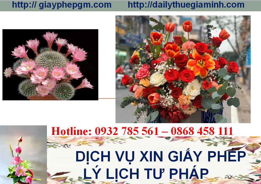 Dịch vụ làm giấy lý lịch tư pháp Kiên Giang 4 Thủ tục làm giấy lý lịch tư pháp Kiên Giang