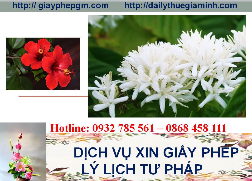 Dịch vụ làm giấy lý lịch tư pháp Lai Châu 4 Thủ tục làm giấy lý lịch tư pháp Lai Châu