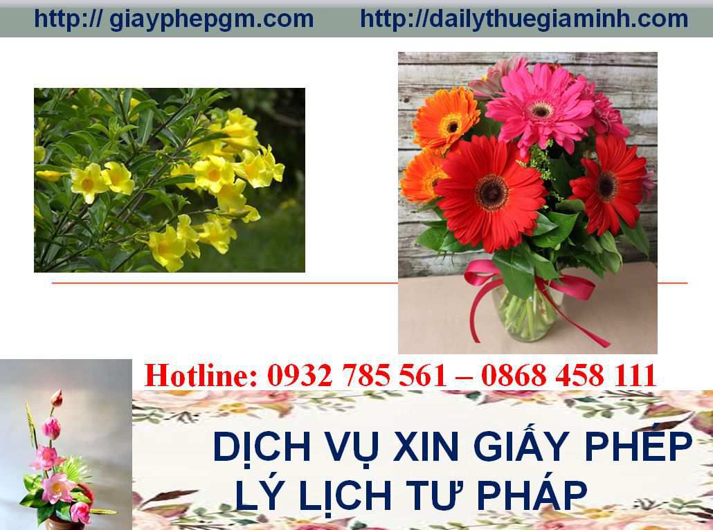Dịch vụ làm giấy lý lịch tư pháp Lạng Sơn 4 Thủ tục làm giấy lý lịch tư pháp Lạng Sơn