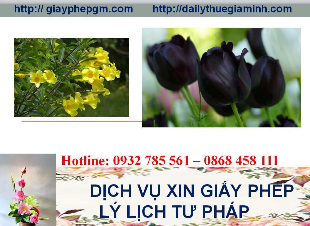 Dịch vụ làm giấy lý lịch tư pháp Nam Định 4 Thủ tục làm giấy lý lịch tư pháp Nam Định