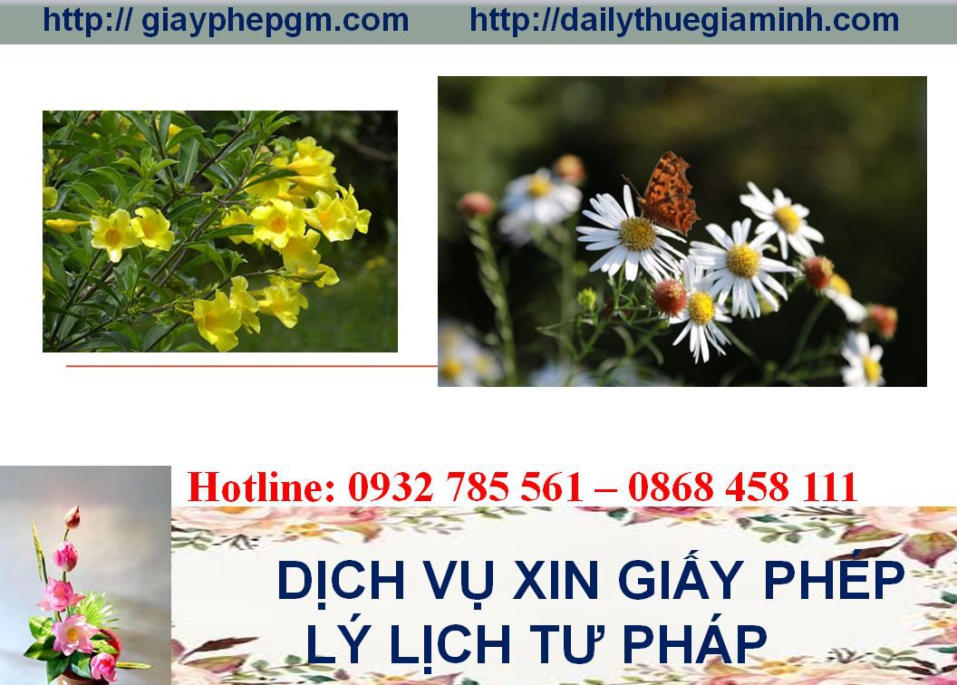 Dịch vụ làm giấy lý lịch tư pháp Ninh Bình 4 Thủ tục làm giấy lý lịch tư pháp Ninh Bình