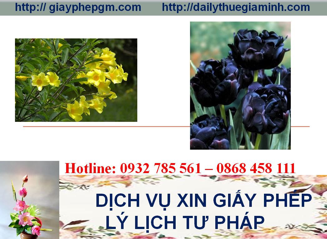 Dịch vụ làm giấy lý lịch tư pháp Ninh Thuận 4 Thủ tục làm giấy lý lịch tư pháp Ninh Thuận