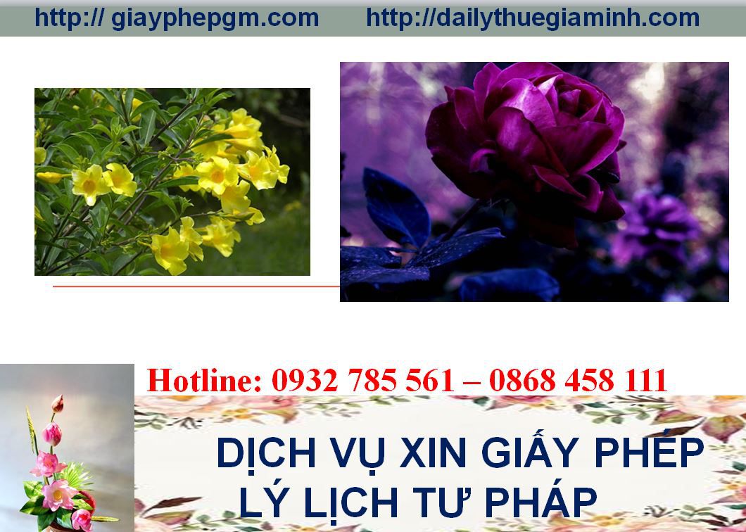 Dịch vụ làm giấy lý lịch tư pháp Phú Thọ 4 Thủ tục làm giấy lý lịch tư pháp Phú Thọ