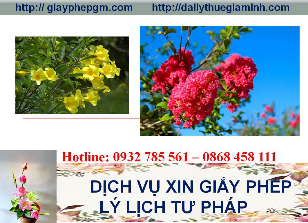 Dịch vụ làm giấy lý lịch tư pháp Quảng Nam 4 Thủ tục làm giấy lý lịch tư pháp Quảng Nam