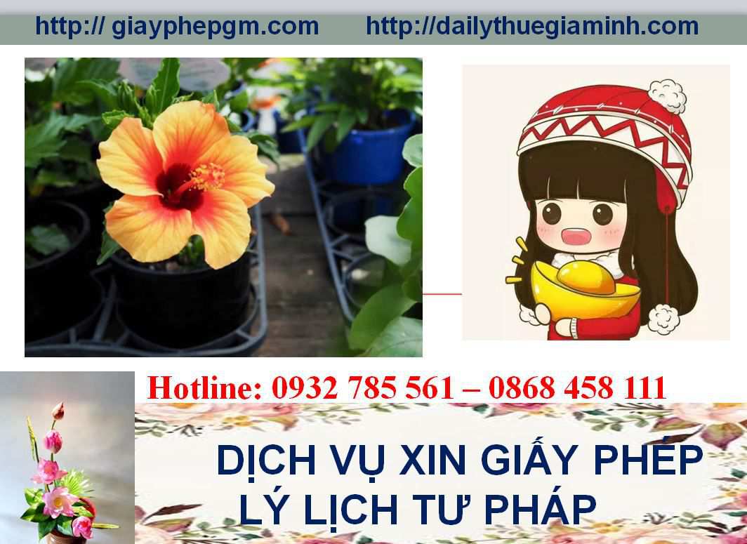 Dịch vụ làm giấy lý lịch tư pháp Vĩnh Phúc 4 Thủ tục làm giấy lý lịch tư pháp Vĩnh Phúc