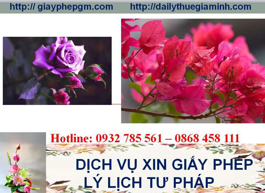 Dịch vụ làm giấy lý lịch tư pháp Vũng Tàu 4 Thủ tục làm giấy lý lịch tư pháp Vũng Tàu