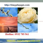 Dịch vụ thành lập công ty tại Bắc Kạn 4 Dịch vụ thành lập công ty tại Bắc Kạn