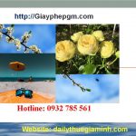 Dịch vụ thành lập công ty tại Bắc Giang 6 Dịch vụ thành lập công ty tại Bắc Giang