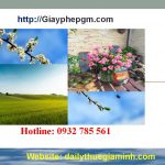 Dịch vụ thành lập công ty tại Bến Tre 4 Thủ tục trọn gói thành lập công ty tại Bến Tre