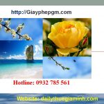 Dịch vụ thành lập công ty tại Đà Nẵng 4 Dịch vụ thành lập công ty trọn gói tại Đà Nẵng