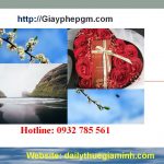 Dịch vụ thành lập công ty tại Hà Giang 4 Dịch vụ thành lập công ty tại Hà Giang