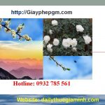 Dịch vụ thành lập công ty tại Hà Nam 4 Dịch vụ thành lập công ty tại Hà Nam