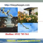 Dịch vụ thành lập công ty tại Hải Phòng 4 Dịch vụ thành lập công ty trọn gói uy tín tại Hải Phòng