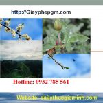 Dịch vụ thành lập công ty tại Hòa Bình 6 Dịch vụ thành lập công ty tại Hòa Bình