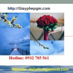 Dịch vụ thành lập công ty tại Lai Châu 4 Dịch vụ thành lập công ty trọn gói tại Lai Châu
