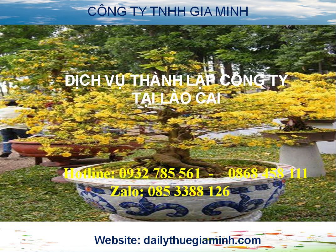 Dịch vụ thành lập công ty tại Lào Cai 3 Thủ tục trọn gói thành lập công ty tại Lào Cai
