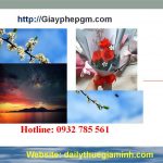 Dịch vụ thành lập công ty tại Lào Cai 4 Thành lập doanh nghiệp giá rẻ trọn gói tại Lào Cai