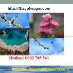 Dịch vụ thành lập công ty tại Nam Định 4 Thành lập doanh nghiệp giá rẻ trọn gói tại Nam Định