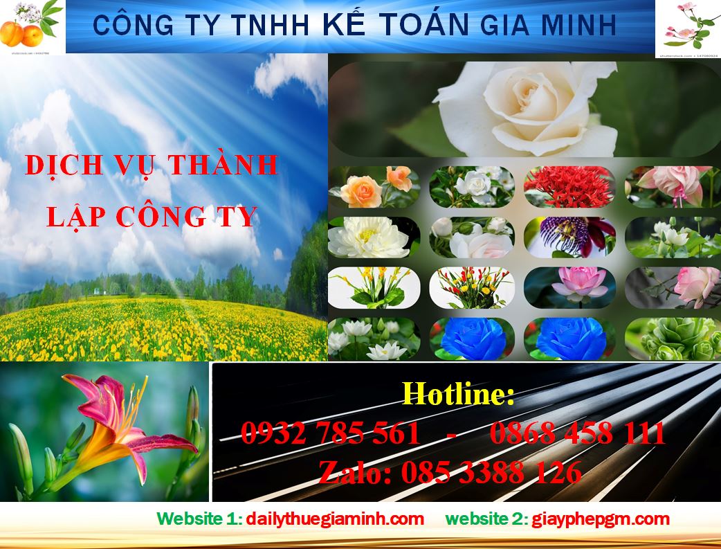 Dịch vụ mở công ty tại Quận 11 4 Thủ tục mở công ty ở Quận 11