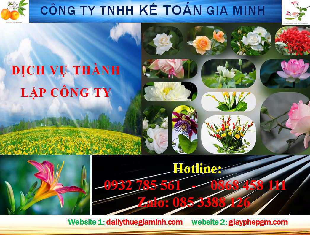 Dịch vụ mở công ty tại Quận 3 4 Thủ tục mở công ty ở Quận 3