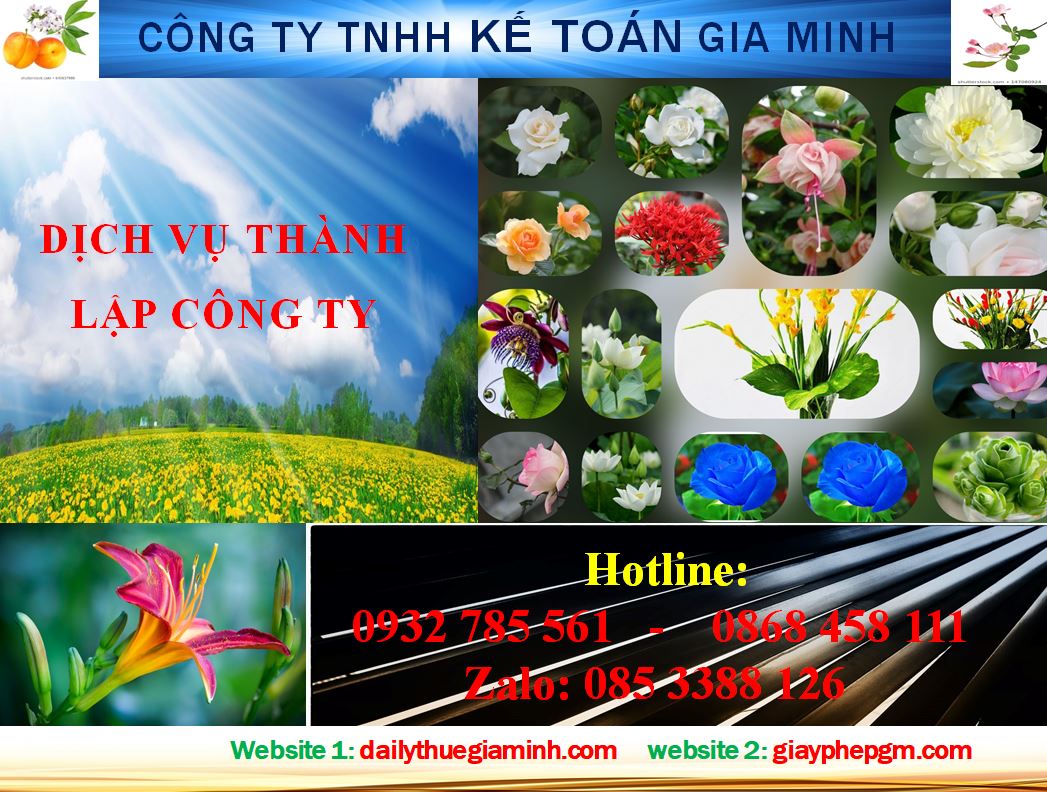 Dịch vụ mở công ty tại Quận Tân Bình 4 Thủ tục mở công ty ở Quận Tân Bình