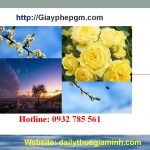 Dịch vụ thành lập công ty tại Thanh Hóa 4 Dịch vụ thành lập công ty trọn gói uy tín tại Thanh Hóa