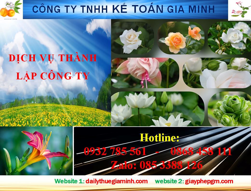 Dịch vụ mở công ty tại Thành Phố Hồ Chí Minh 4 Thủ tục mở công ty ở Thành Phố Hồ Chí Minh