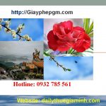 Dịch vụ thành lập công ty tại TPHCM - Uy tín, Nhanh chóng, Trọn Gói 4 Dịch vụ thành lập công ty trọn gói uy tín tại TPHCM