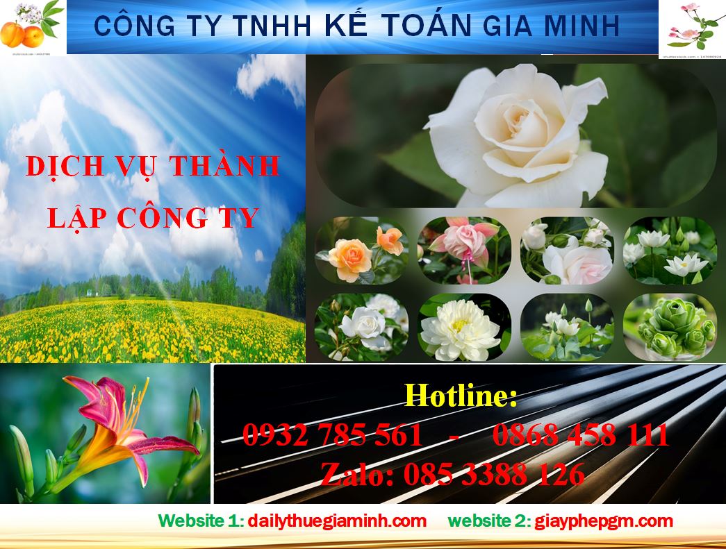 Dịch vụ mở công ty tại Vũng Tàu 4 Thủ tục mở công ty ở vũng tàu