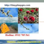 Dịch vụ thành lập công ty trọn gói uy tín tại Yên Bái